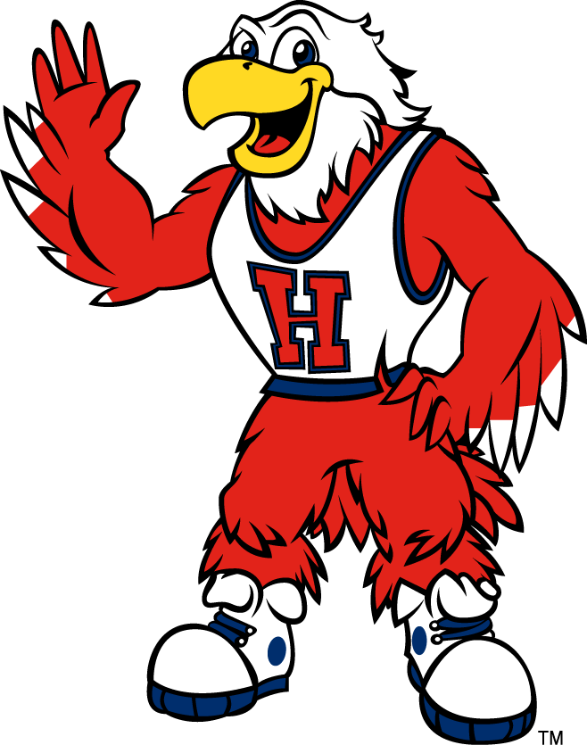 Hartford Hawks 1995-Pres Mascot Logo 01 iron on paper